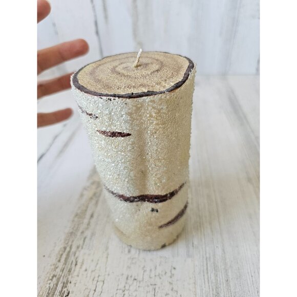 Pottery Barn candle birch glass sugared tree decor - Picture 5 of 8